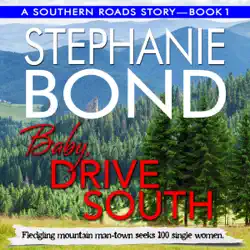 baby, drive south audiobook cover image