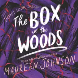 the box in the woods audiobook cover image