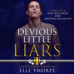 devious little liars: a high school bully romance audiobook cover image