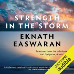 strength in the storm audiobook cover image