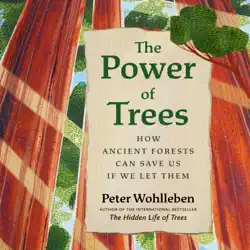 the power of trees audiobook cover image