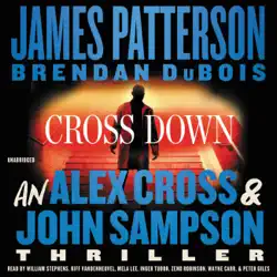 cross down audiobook cover image