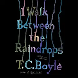 i walk between the raindrops audiobook cover image