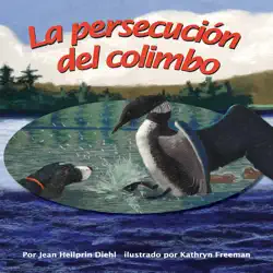 la persecución del colimbo audiobook cover image