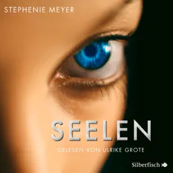 seelen audiobook cover image