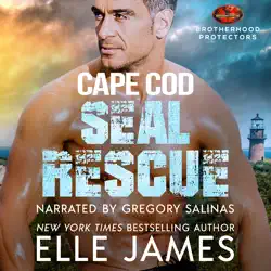 cape cod seal rescue audiobook cover image
