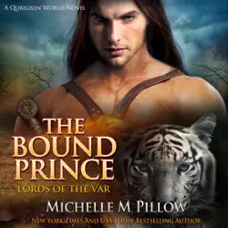 the bound prince: a qurilixen world novel audiobook cover image