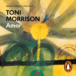 amor audiobook cover image
