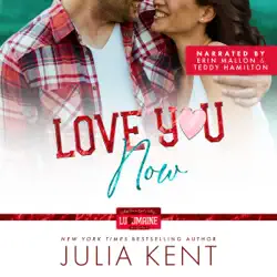 love you now audiobook cover image