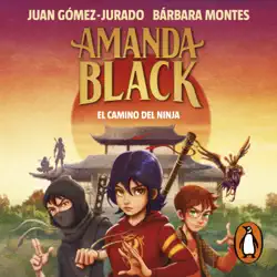 amanda black 9 - el camino del ninja imagen de portada de audiolibro