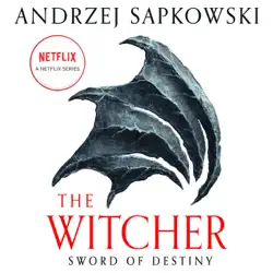 sword of destiny audiobook cover image