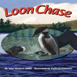 loon chase audiobook cover image