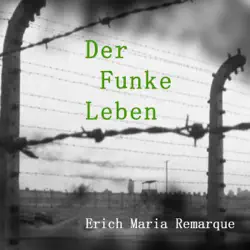 der funke leben audiobook cover image