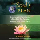 Your Soul's Plan: Discovering the Real Meaning of the Life You Planned Before You Were Born (Unabridged) escuche, reseñas de audiolibros y descarga de MP3