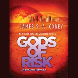 gods of risk audiobook cover image