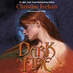 dark fire audiobook cover image