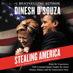 stealing america audiobook cover image