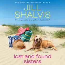 lost and found sisters audiobook cover image