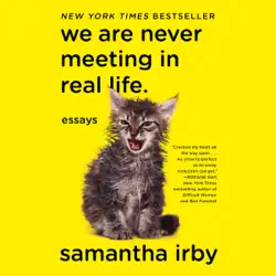 we are never meeting in real life: essays (unabridged) audiobook cover image