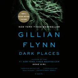 dark places: a novel (unabridged) audiobook cover image