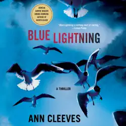 blue lightning audiobook cover image