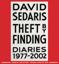 theft by finding audiobook cover image