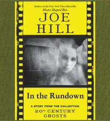 in the rundown audiobook cover image