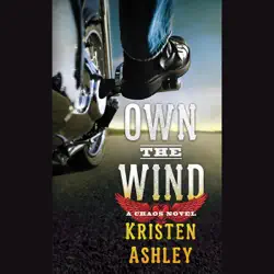 own the wind audiobook cover image