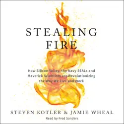stealing fire audiobook cover image