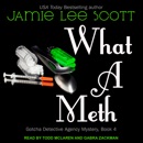 What A Meth MP3 Audiobook