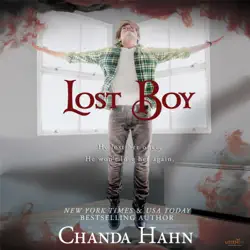 lost boy - neverwood chronicles audiobook cover image