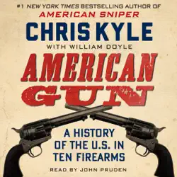 american gun audiobook cover image