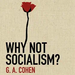 why not socialism? audiobook cover image