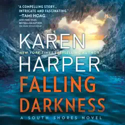 falling darkness audiobook cover image