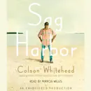 Download Sag Harbor: A Novel (Unabridged) MP3