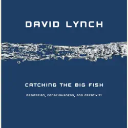 catching the big fish: meditation, consciousness, and creativity (unabridged) audiobook cover image