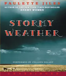stormy weather audiobook cover image