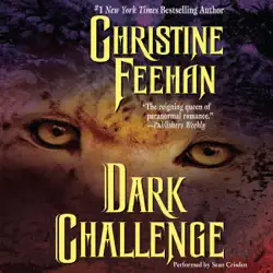 dark challenge audiobook cover image