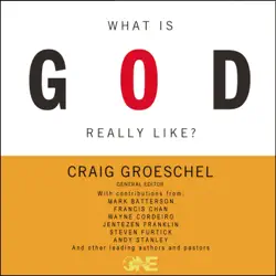 what is god really like? audiobook cover image