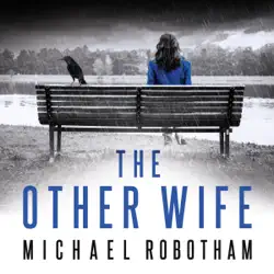 the other wife audiobook cover image