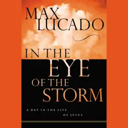 in the eye of the storm audiobook cover image
