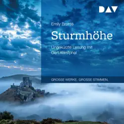 sturmhöhe audiobook cover image