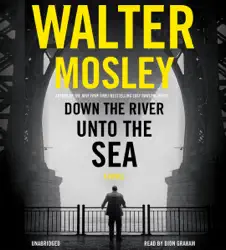 down the river unto the sea audiobook cover image