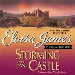 storming the castle: an original short story audiobook cover image