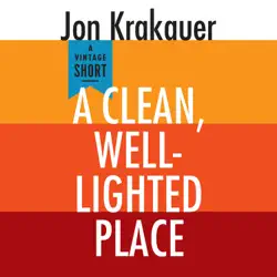 a clean, well-lighted place (unabridged) audiobook cover image