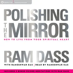 polishing the mirror audiobook cover image