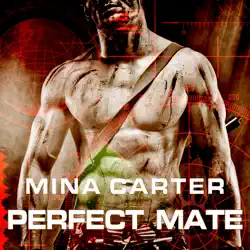 perfect mate (unabridged) audiobook cover image