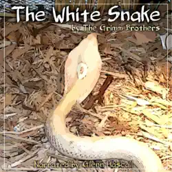 the white snake (unabridged) audiobook cover image