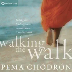 walking the walk: putting the teachings into practice when it matters most audiobook cover image