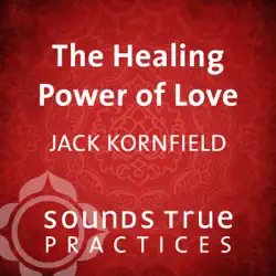 the healing power of love audiobook cover image